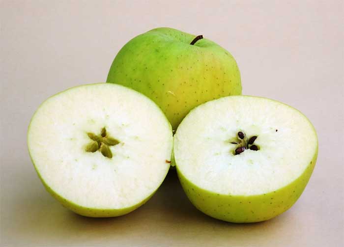 aaa